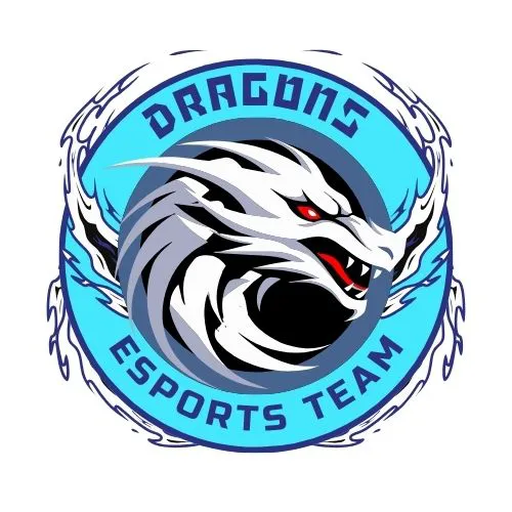 DS足球 Logo